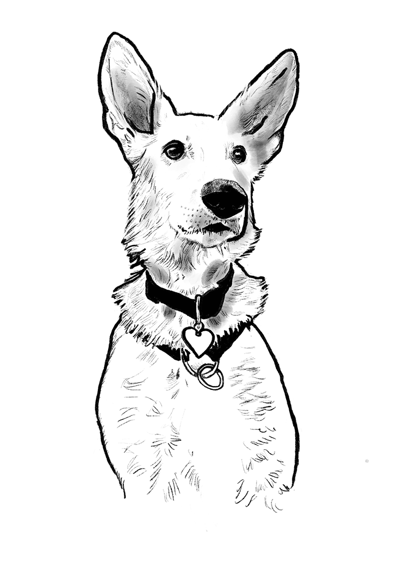 VECUB AG - Sam